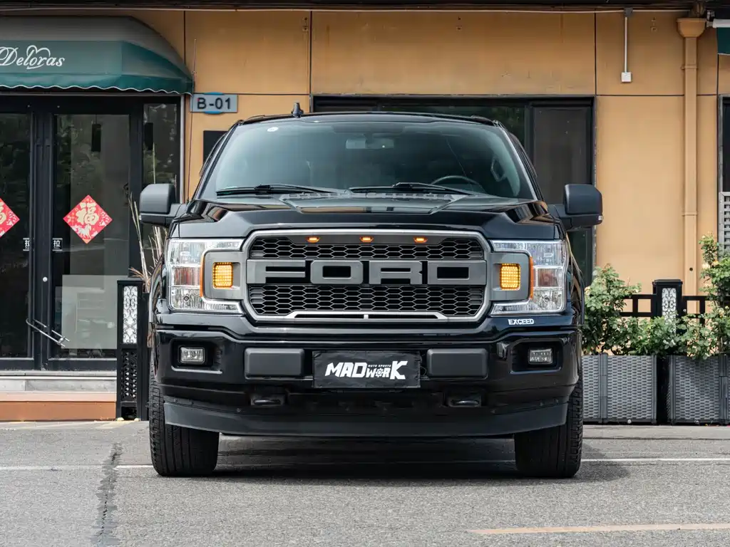 Ford F-150 Raptor 2019 — фото 2