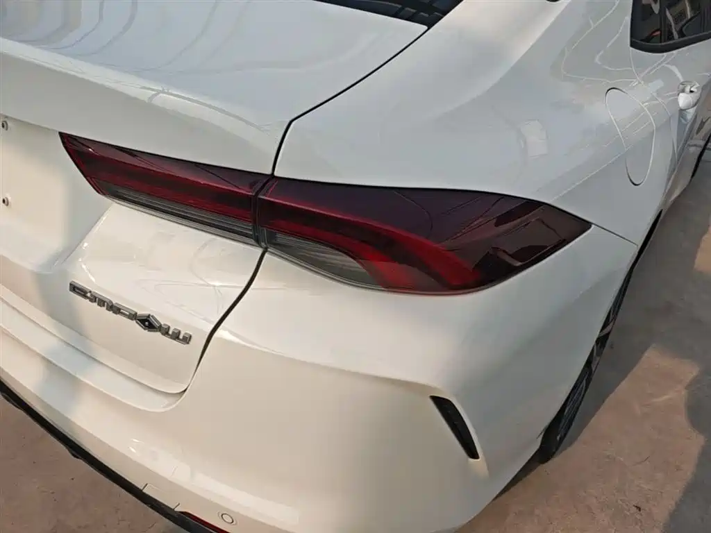 GAC Motor Shadow Leopard 2022 — фото 8