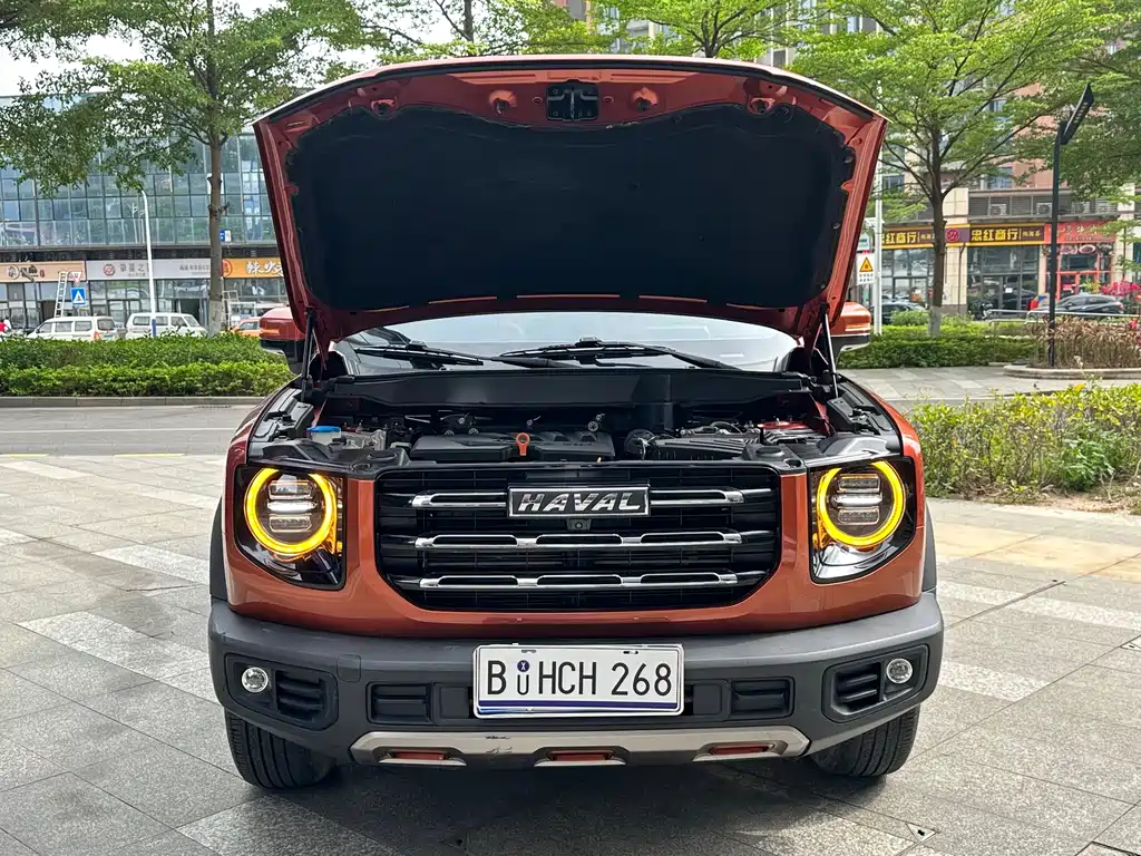 Haval Big Dog 2021 — фото 14