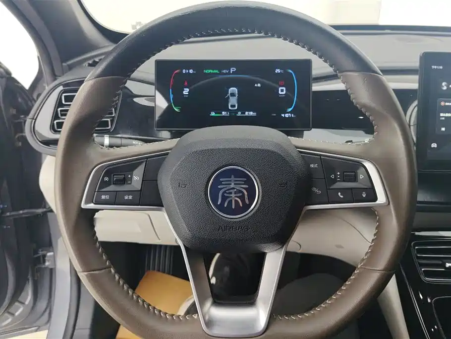 BYD Qin PLUS 2024 — фото 15