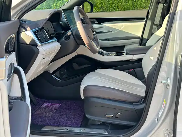 BYD Song PLUS New Energy 2024