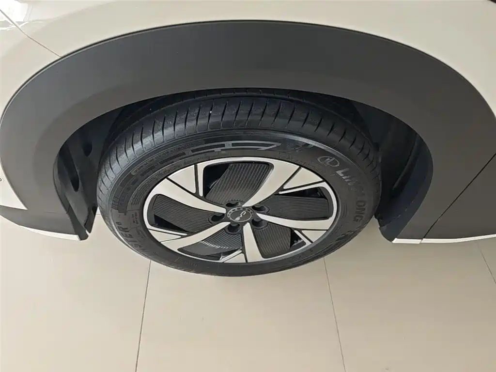 BYD Sealion 05 EV 2025 — фото 23