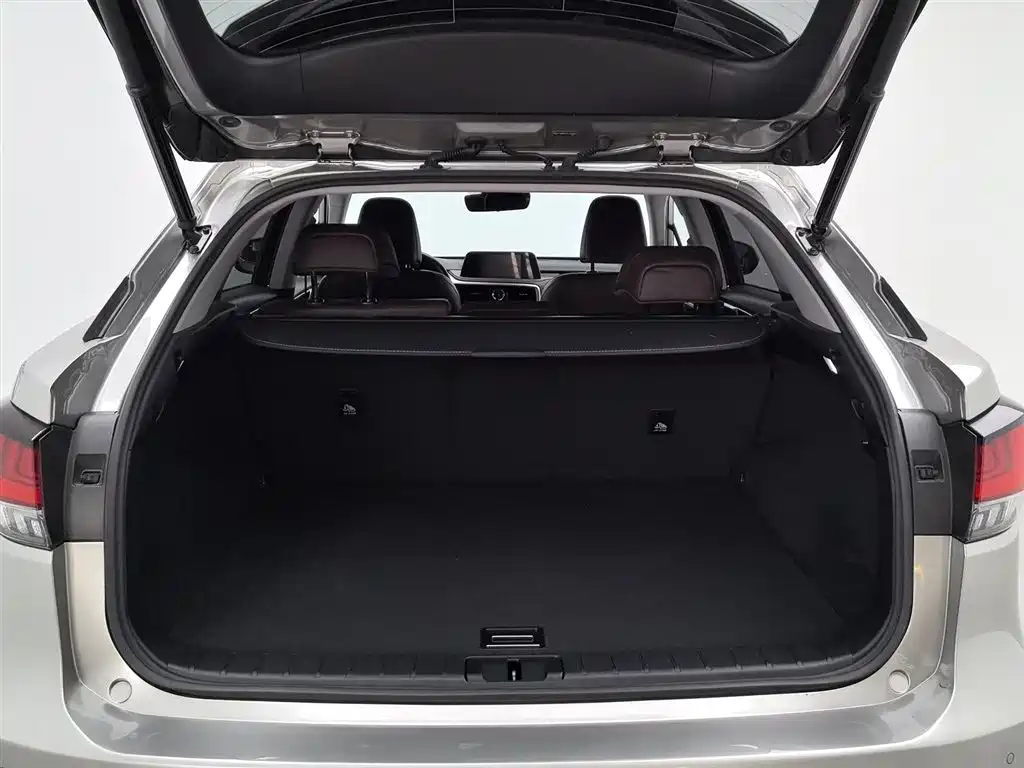 Lexus RX 2020 — фото 16