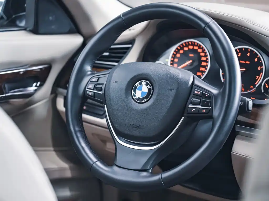 BMW 7 Series 2010 — фото 15