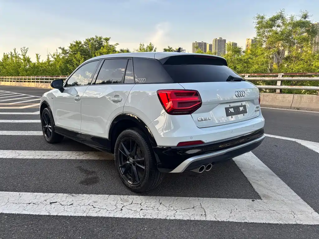 Audi Q2L 2020