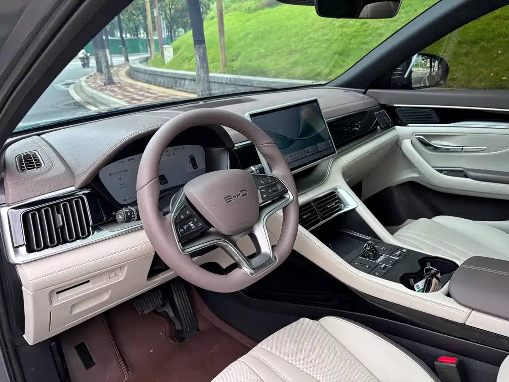 BYD PLUS New Energy 2025 — фото 11