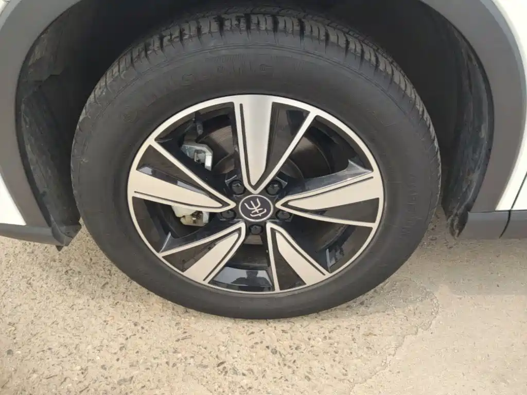 BYD Pro New Energy 2022 — фото 23