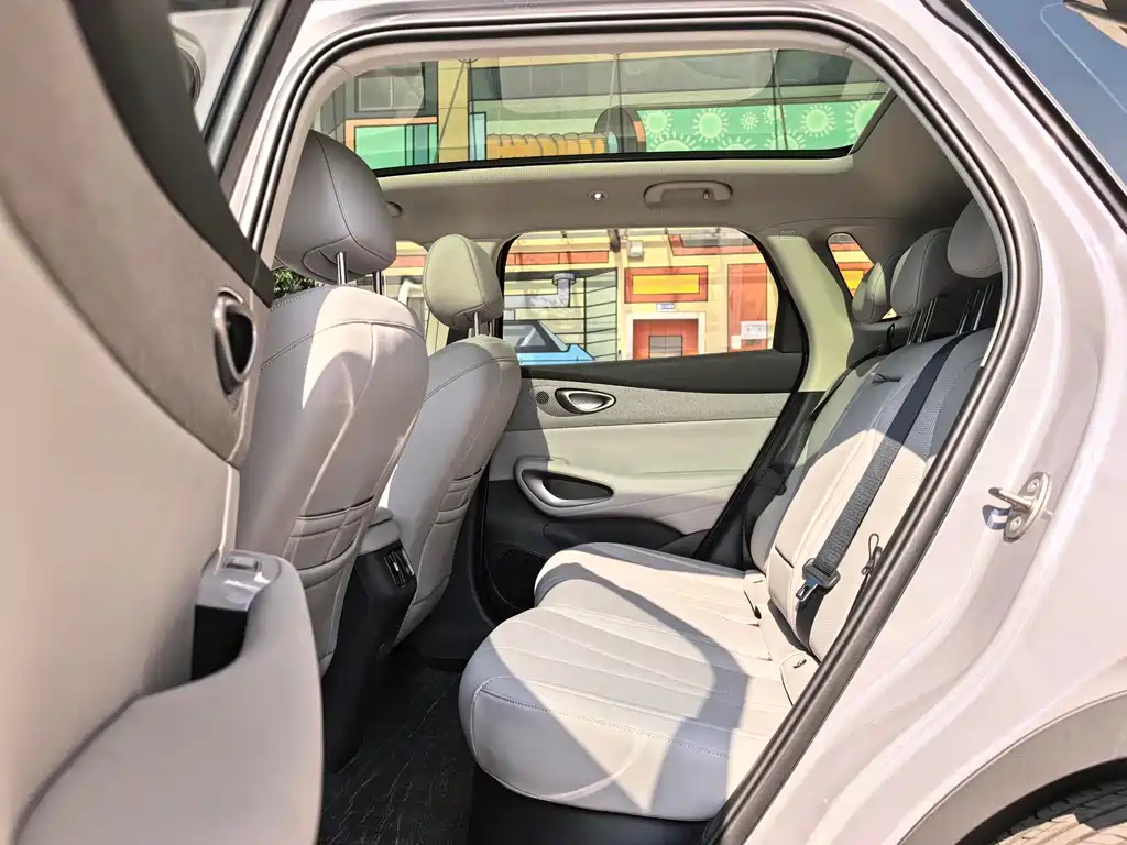 BYD Sealion 05 EV 2025 — фото 8