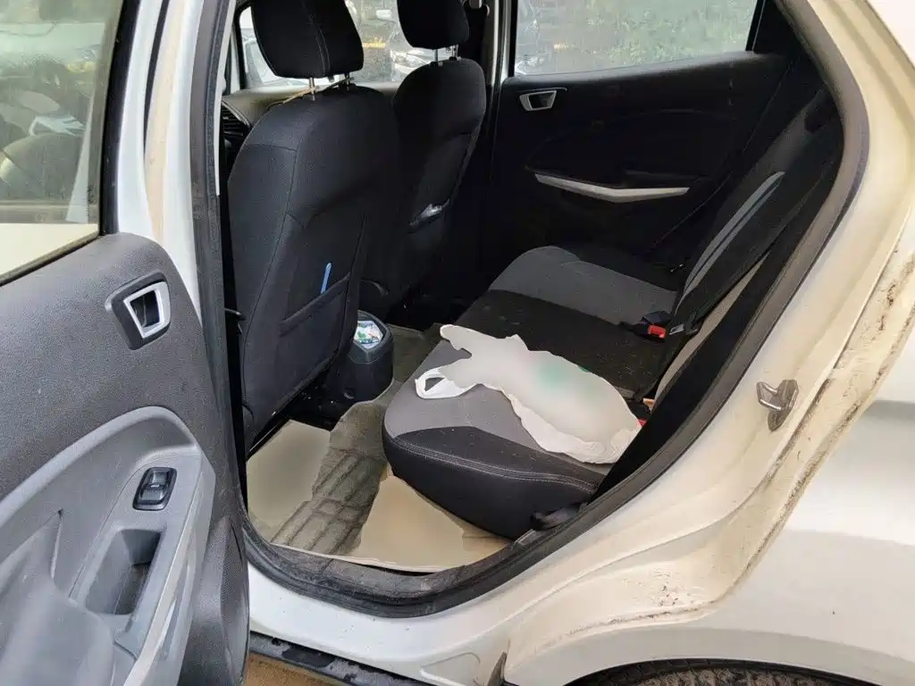Ford Ecosport 2015 — фото 14
