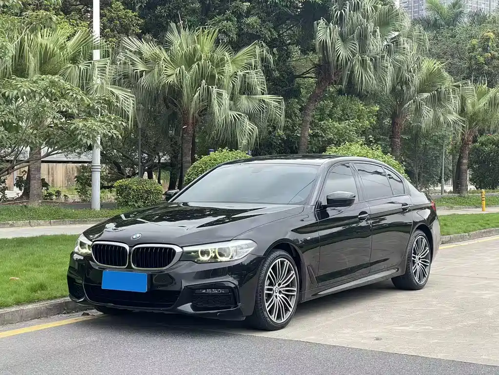 BMW 5 Series 2019 — фото 1