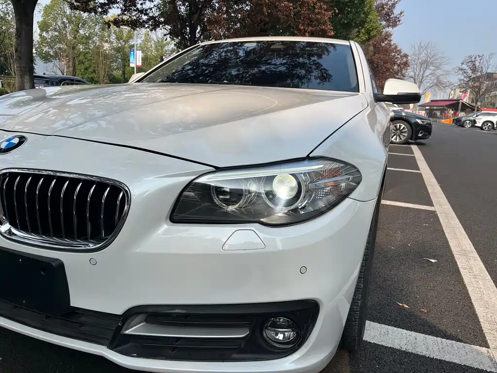 BMW 5 Series 2016 — фото 17