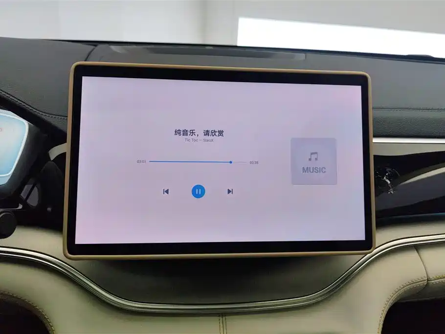 BYD PLUS New Energy 2024 — фото 13