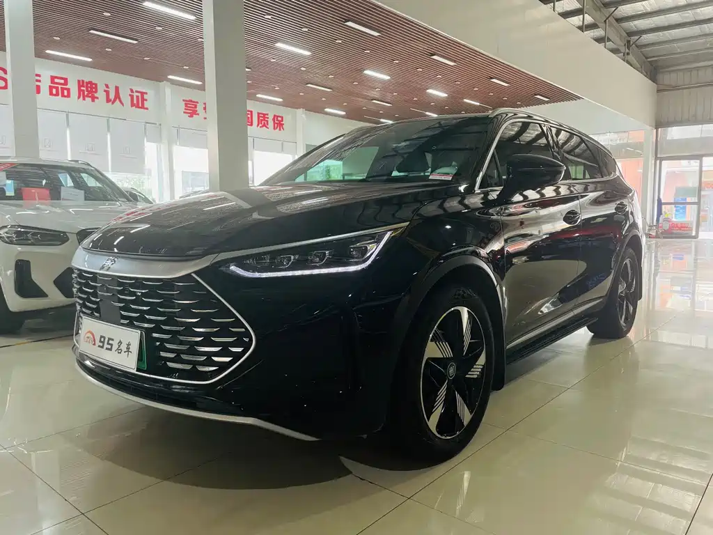 BYD Tang New Energy 2024