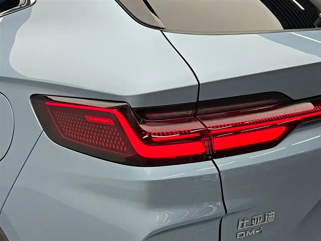 BYD PLUS New Energy 2023 — фото 9