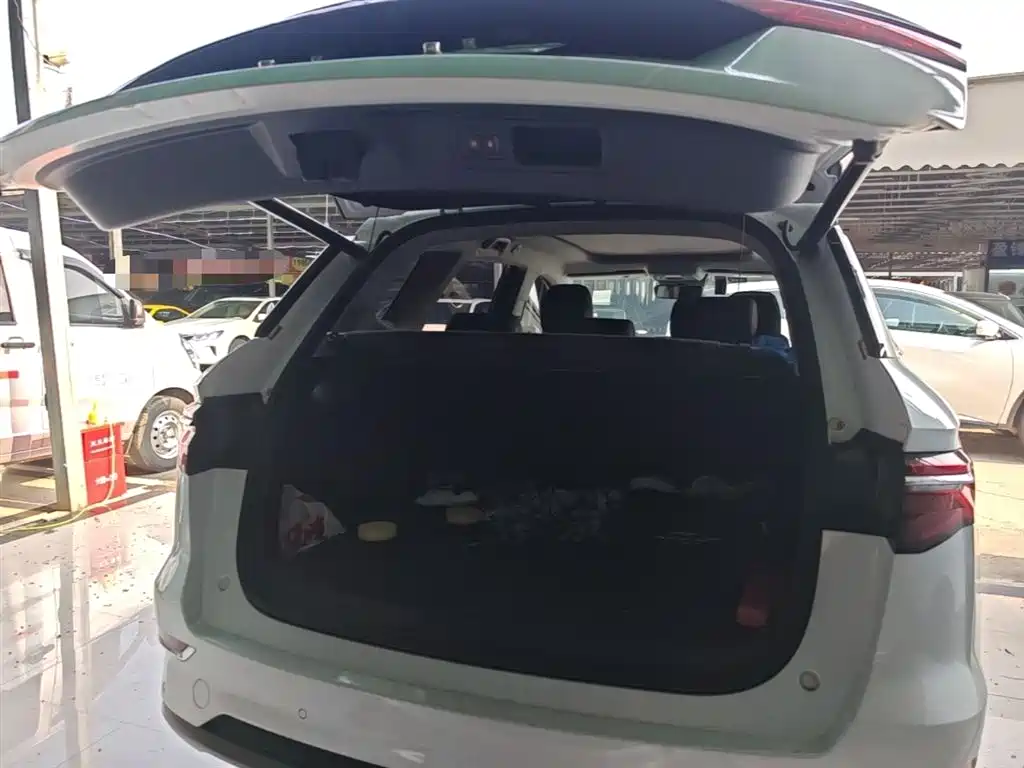 BYD Pro New Energy 2020 — фото 19