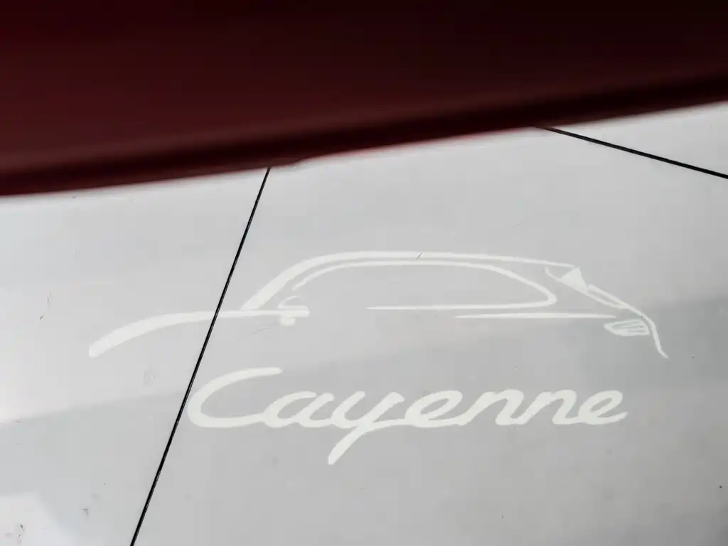Porsche Cayenne 2018 — фото 25
