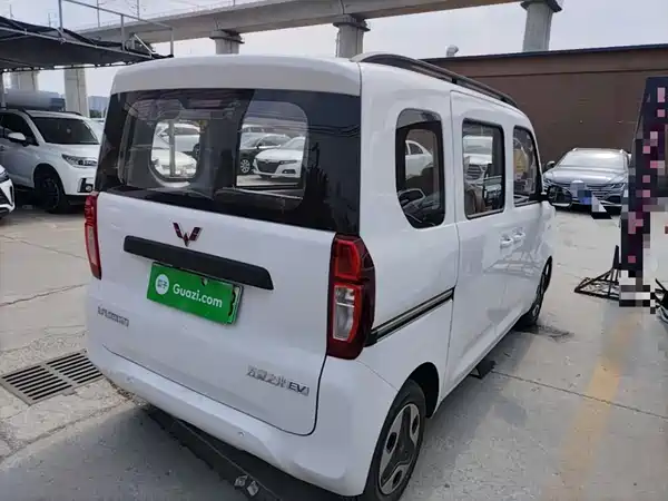 Wuling Zhiguang New Energy 2026