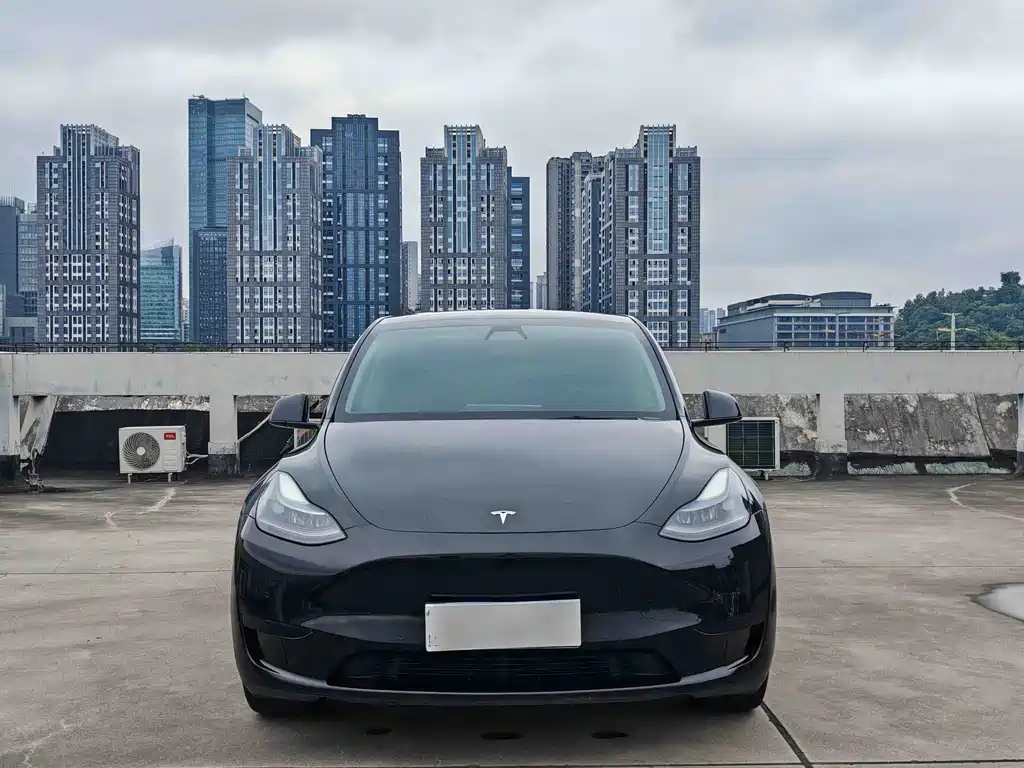 Tesla Model Y 2022 — фото 2