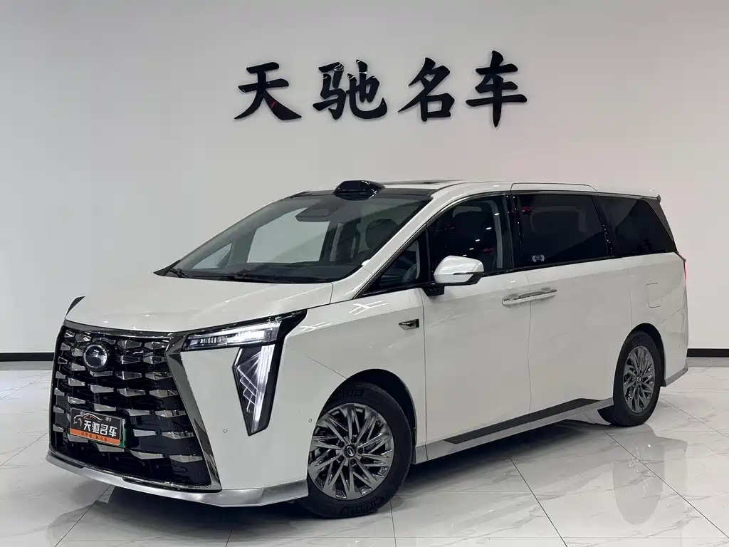 GAC Motor Xiangwang M8 2025