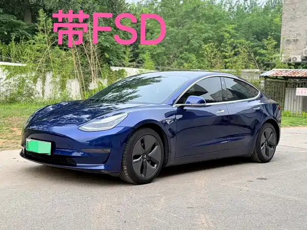 Tesla Model 3 2019