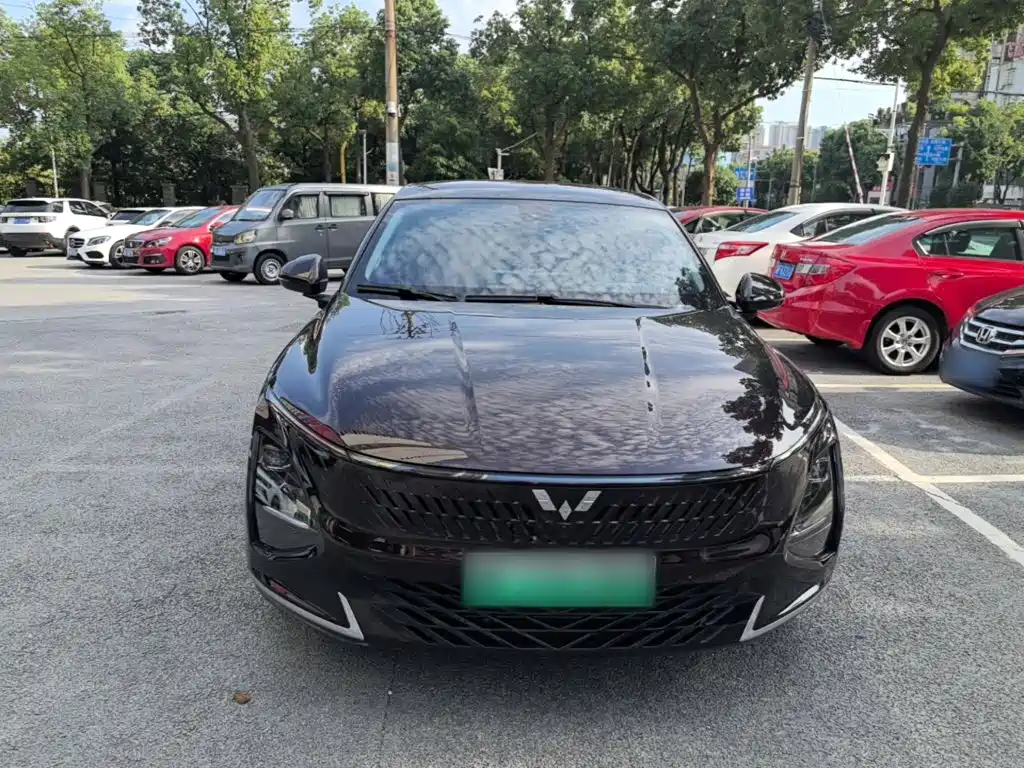Wuling Starlight 2024