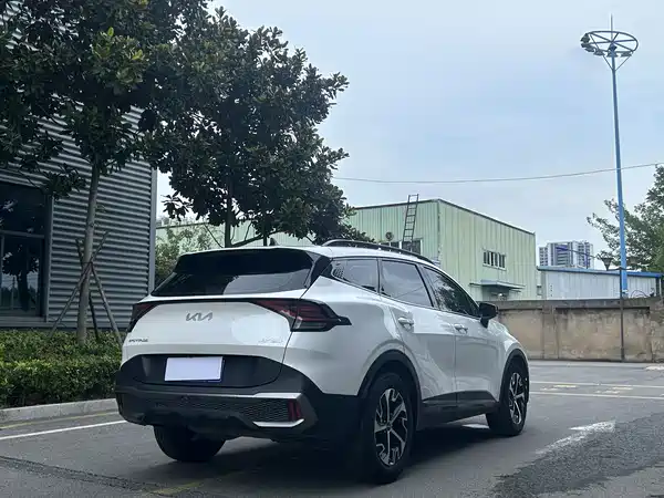 Kia Lion Platinum Expands The Boundary 2024