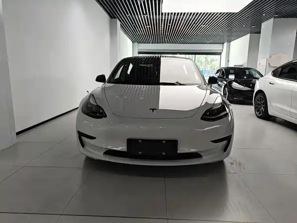 Tesla Model 3 2020