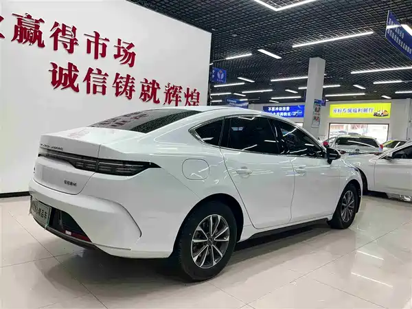 BYD Destroyer 05 2024