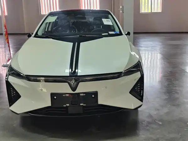 Lingxi Lingxi L 2025