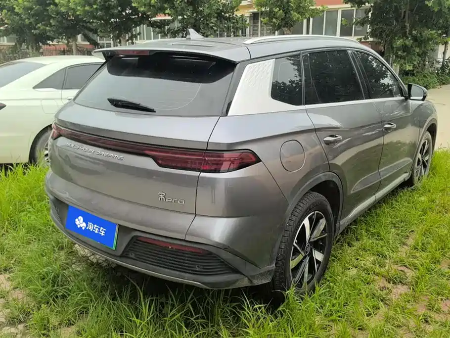 BYD Pro New Energy 2024 — фото 3