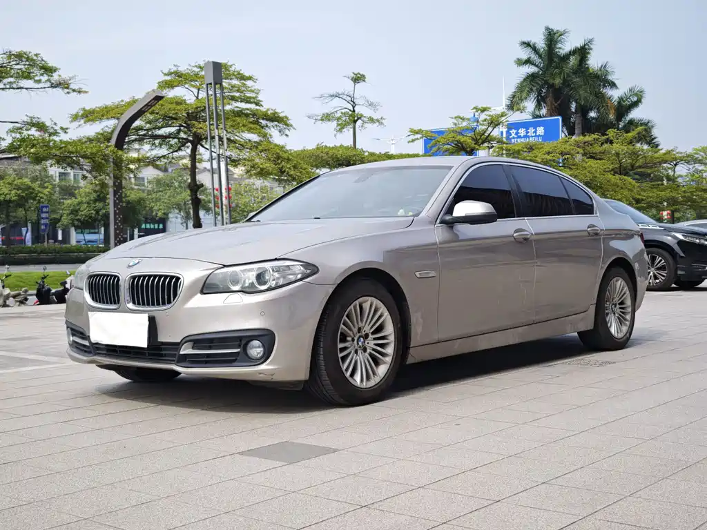 BMW 5 Series 2015