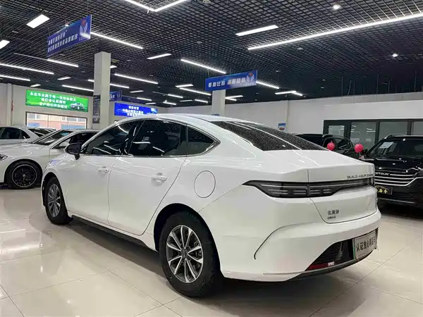 BYD Destroyer 05 2024