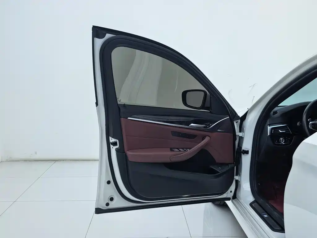 BMW 5 Series 2019 — фото 19