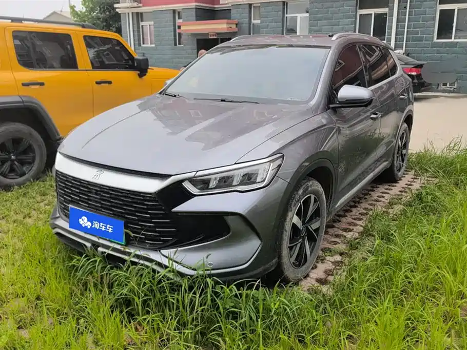 BYD Pro New Energy 2024