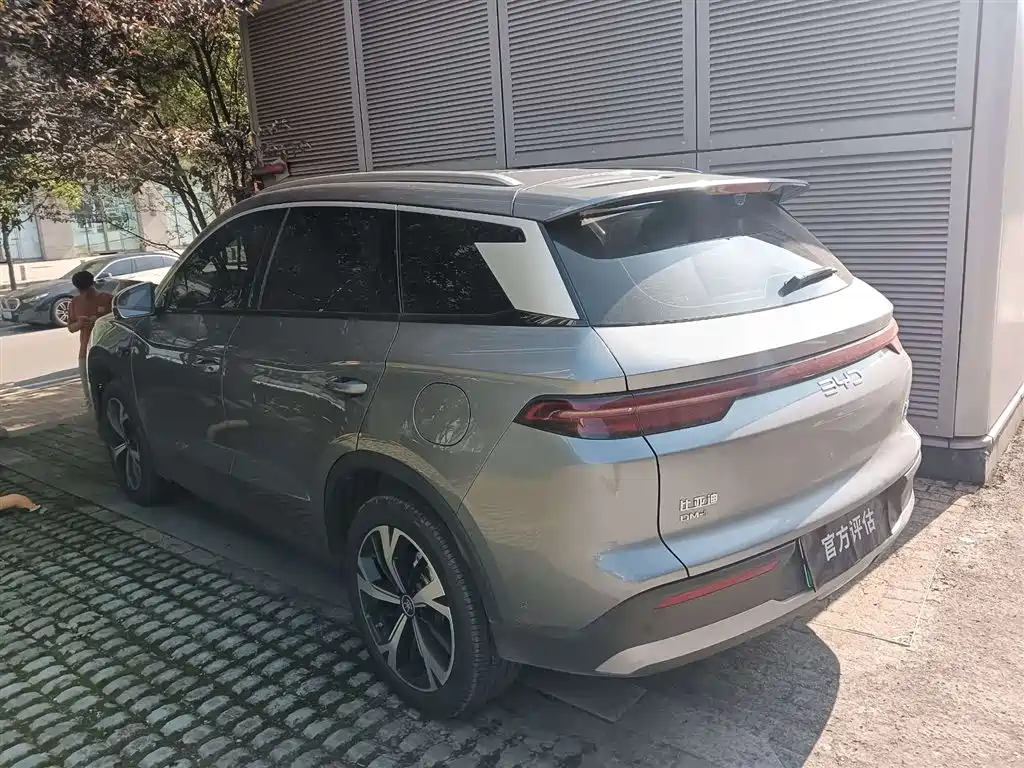 BYD Pro New Energy 2026 — фото 2