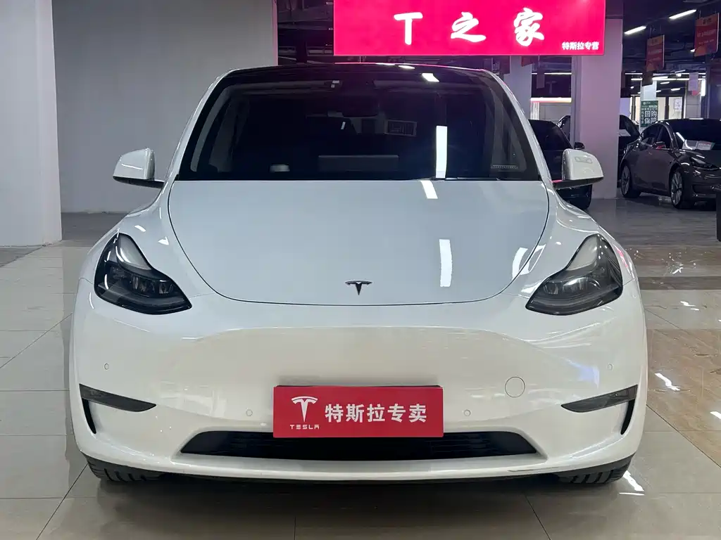 Tesla Model Y 2021 — фото 2
