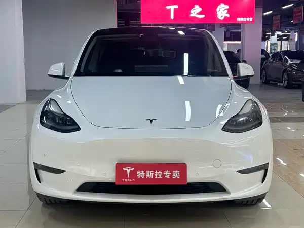 Tesla Model Y 2021