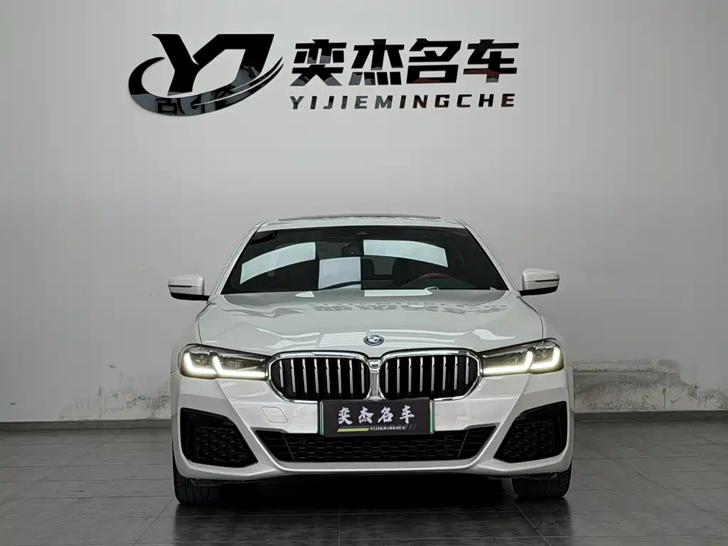 BMW 5 Series New Energy 2022