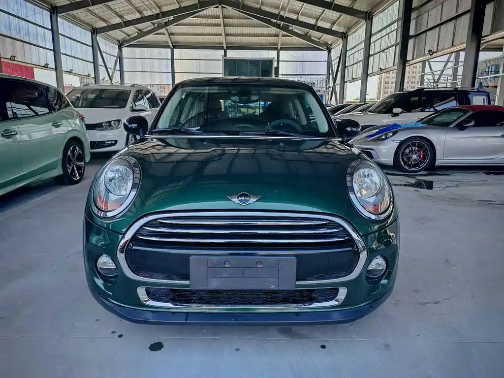 MINI MINI 2018