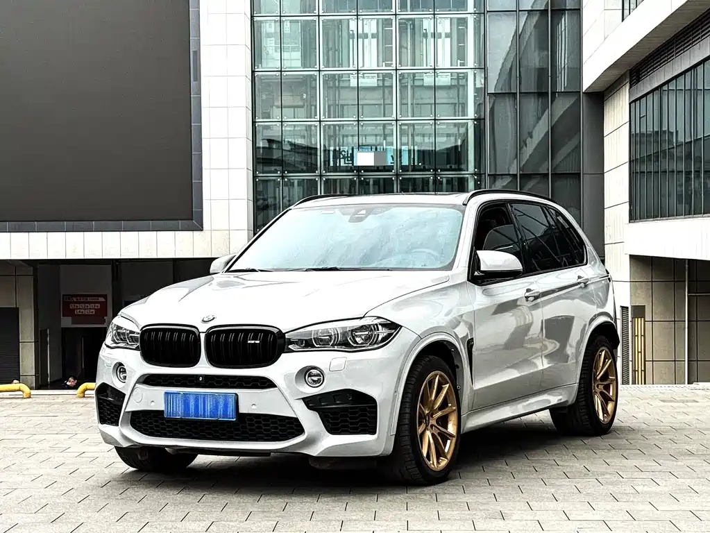 BMW X5 M 2014 — фото 1