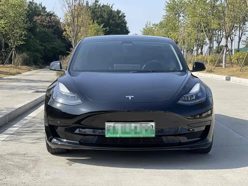 Tesla Model 3 2021 — фото 2