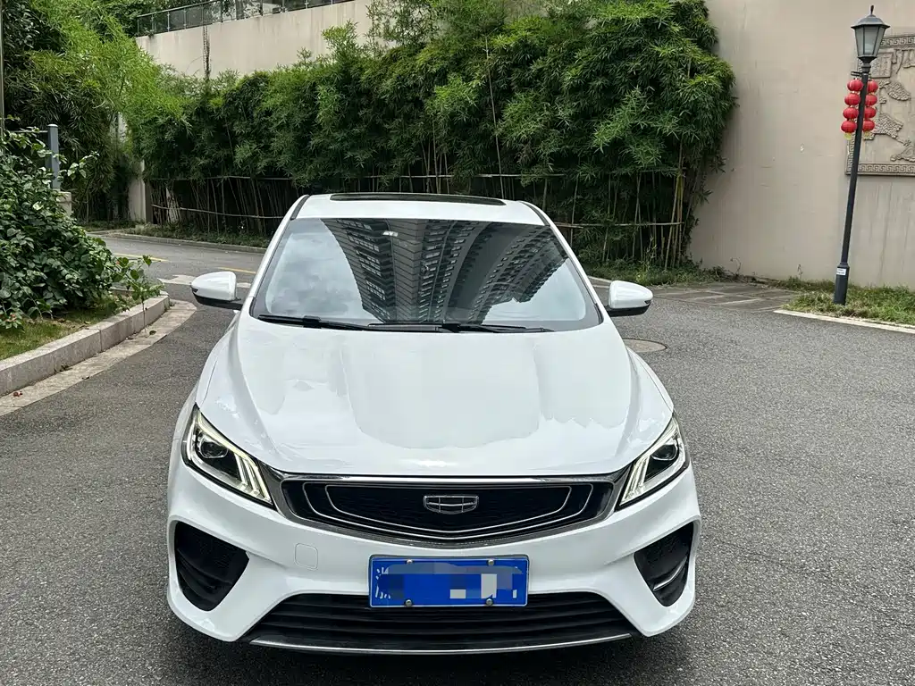 Geely Binrui 2019