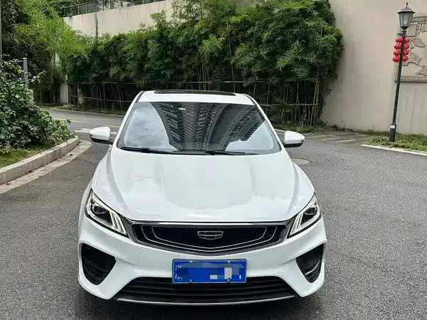 Geely Binrui 2019