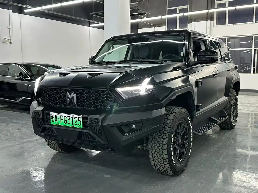 Mengshi 917 2024