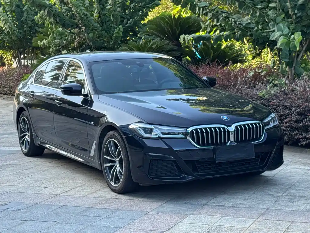 BMW 5 Series 2021