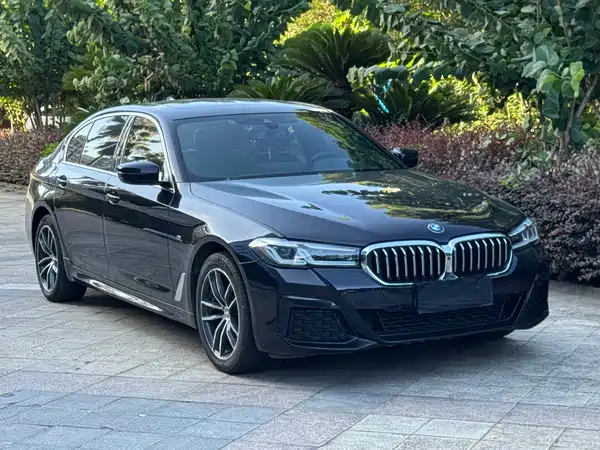 BMW 5 Series 2021