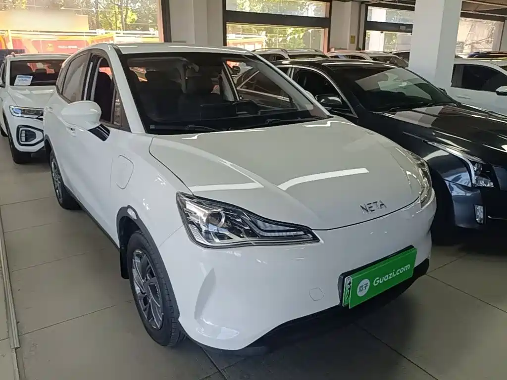 Neta V 2021