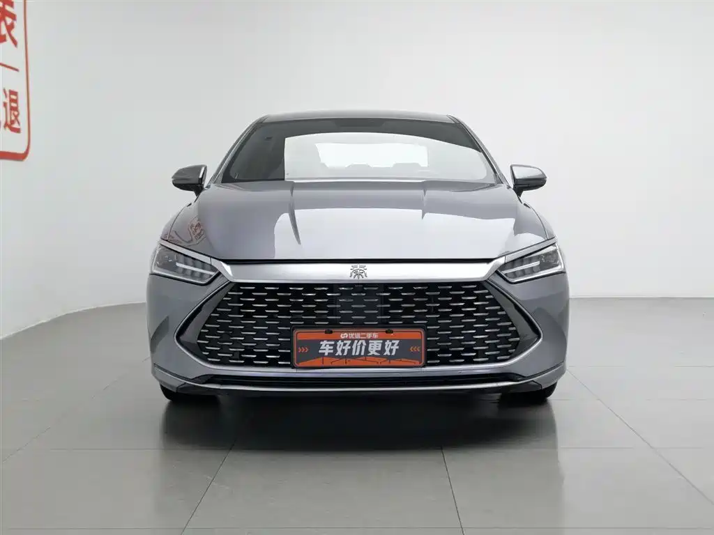 BYD Qin PLUS 2023 — фото 3