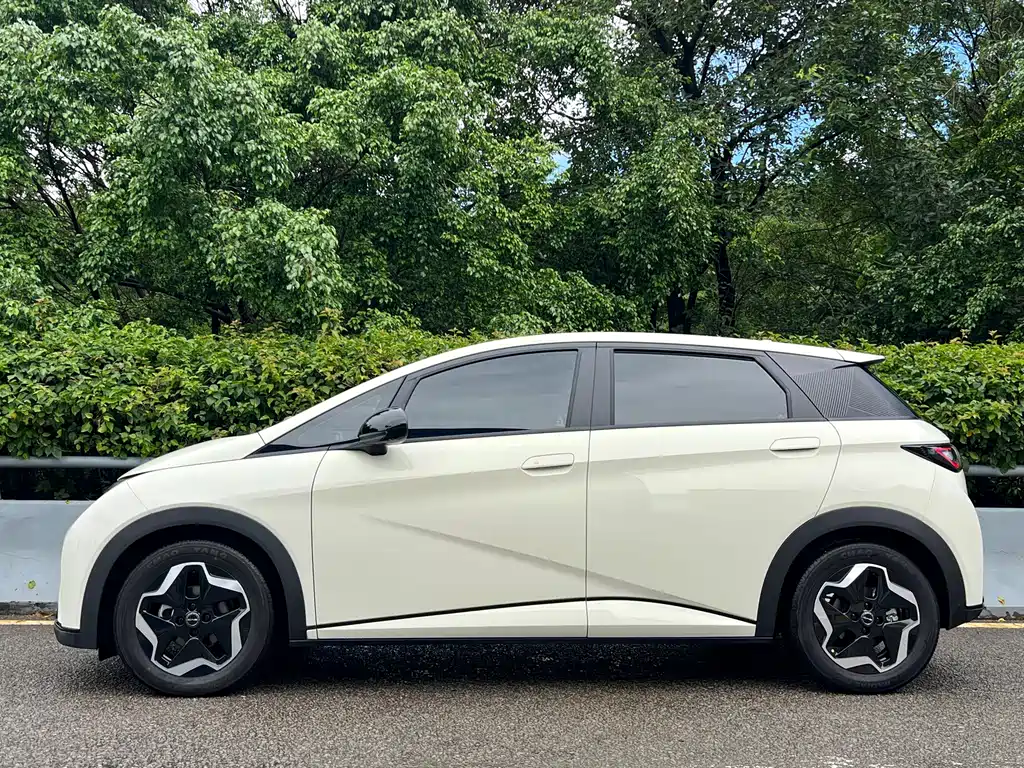 BYD Dolphin 2022