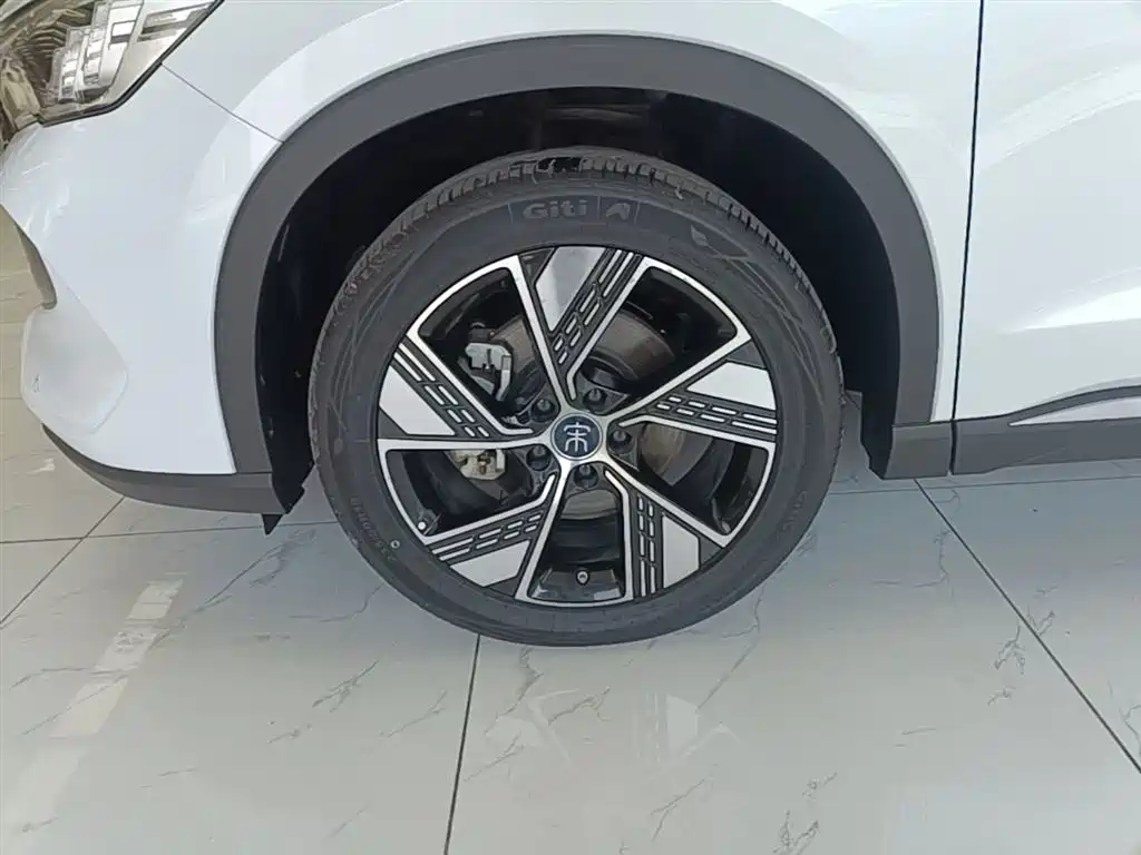 BYD Pro New Energy 2024 — фото 23